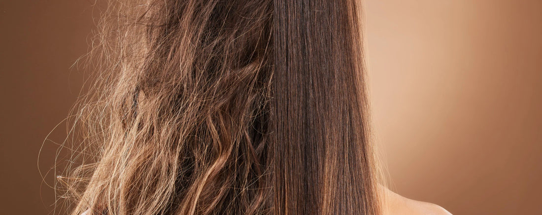 Cheveux secs revitalisés après soin – produits hydratants pour cheveux secs disponibles sur laparadulac.com