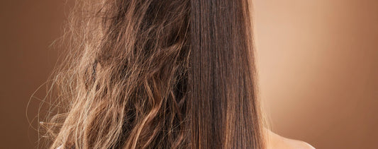Cheveux secs revitalisés après soin – produits hydratants pour cheveux secs disponibles sur laparadulac.com