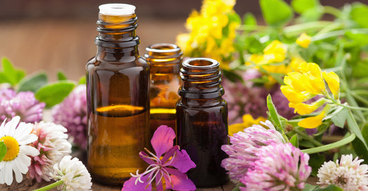 Spray d’huile essentielle répulsif sur une main — répulsifs naturels disponibles sur laparadulac.com