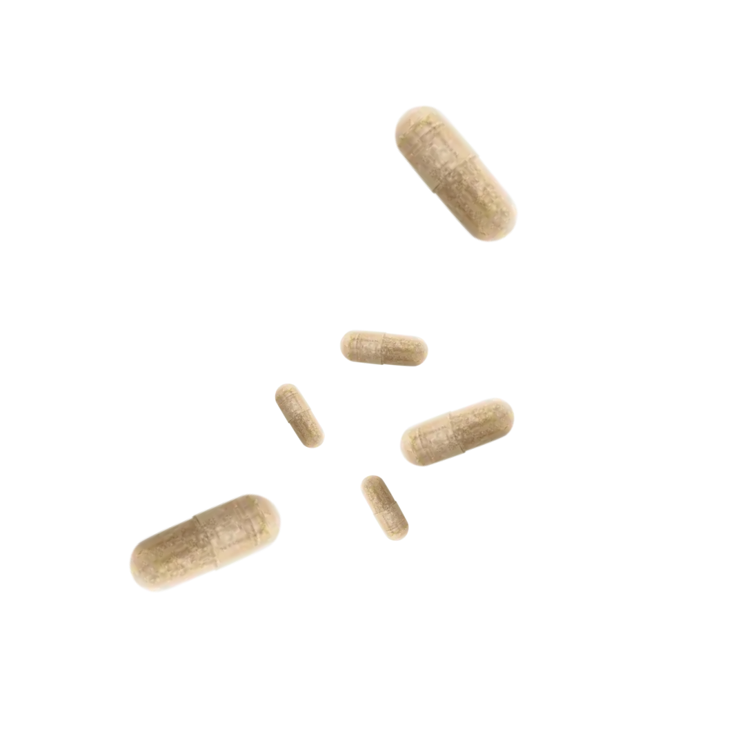 DUCRAY Anacaps Expert chute de cheveux chronique – complément vegan sur laparadulac.com, parapharmacie Tunisie pour vos soins capillaires.