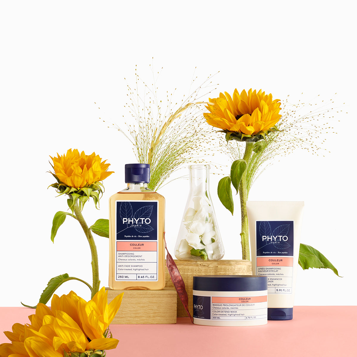 PHYTO Shampooing Couleur – anti-dégorgement pour cheveux colorés et méchés – en vente sur laparadulac.com, parapharmacie en Tunisie