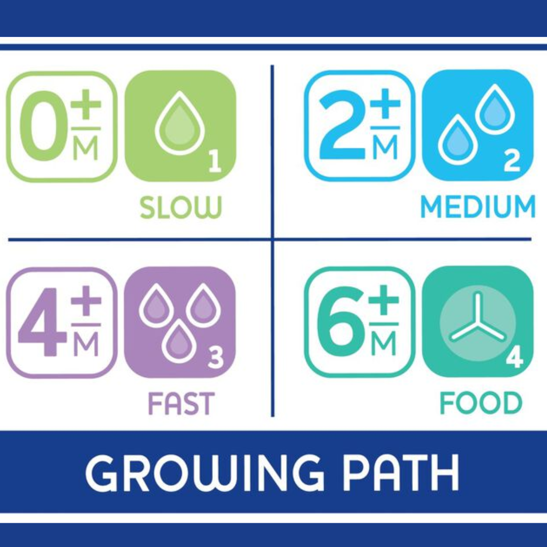 CHICCO Tétine Physio Teat Anti Colic Silicone