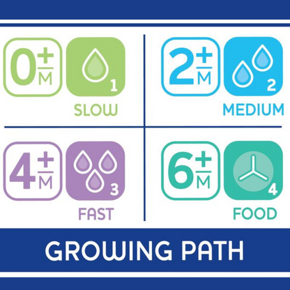 CHICCO Tétine Physio Teat Anti Colic Silicone