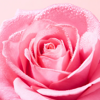Eau micellaire NUXE aux pétales de rose – nettoyant doux 100ml visage et yeux

