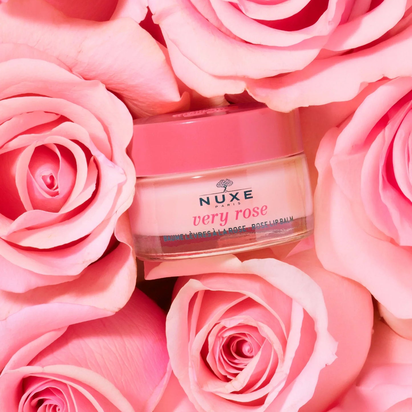 NUXE Very Rose Baume à Lèvres Hydratant Tunisie original authentique - parapharmacie en ligne La Para Du Lac